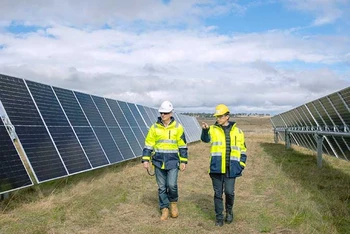 Một góc trang trại điện mặt trời tại bang New South Wales. (Ảnh ACEN RENEWABLES)