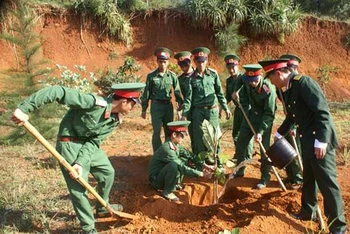 Ảnh minh họa: Cán bộ, chiến sĩ Ban Chỉ huy Quân sự huyện Lý Sơn trồng cây bàng vuông trên đảo. (Nguồn: Báo Quảng Ngãi)