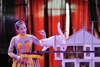 "Dưới sự hướng dẫn, huấn luyện của nghệ sĩ Bùi Huyền Trang, những chú mèo thực hiện được nhiều động tác xiếc thú vị".