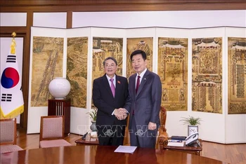 Phó Chủ tịch Quốc hội Nguyễn Đức Hải hội kiến Thủ tướng Hàn Quốc Han Duck-soo. (Ảnh: TTXVN)