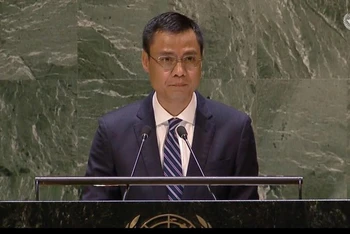 Đại sứ Đặng Hoàng Giang phát biểu tại Hội nghị. (Ảnh: TTXVN)