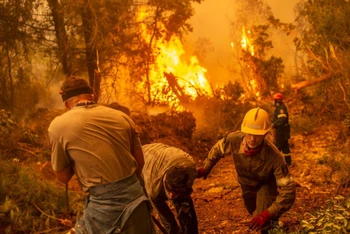 Nhân viên cứu hỏa tại Hy Lạp nỗ lực dập đám cháy rừng tại Glatsona, đảo Evia. (Ảnh Getty Images/Báo Công an nhân dân)