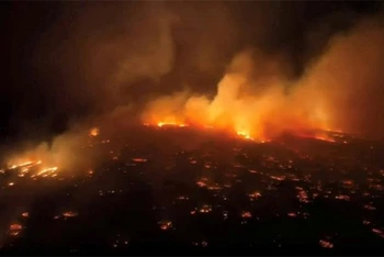 Ít nhất 3 đám cháy lớn đã bùng phát cuối ngày 8/8/2023 ven biển phía tây đảo Maui thuộc bang Hawaii. (Ảnh: Reuters)
