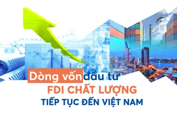 Dòng vốn đầu tư FDI chất lượng tiếp tục đến Việt Nam
