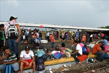 Người di cư Honduras tại khu vực Ciudad Tecun Uman ở biên giới Guatemala-Mexico, trong hành trình tới Mỹ. (Ảnh: AFP/ TTXVN)