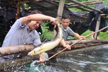 Ảnh: Báo Dân tộc và phát triển