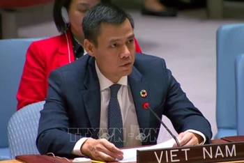 Ðại sứ Ðặng Hoàng Giang, Trưởng Phái đoàn thường trực Việt Nam tại Liên hợp quốc phát biểu. (Ảnh: TTXVN)