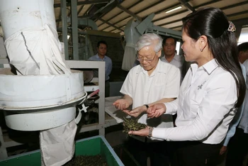 Tổng Bí thư Nguyễn Phú Trọng thăm Nhà máy chè Sen Cha, Công ty cổ phần đầu tư phát triển chè Tam Đường ở xã Bản Bo, huyện Tam Đường, tỉnh Lai Châu. (Ảnh: TTXVN)