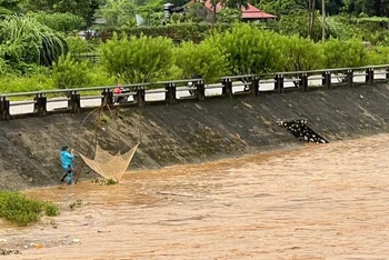 Người dân vẫn bất chấp nguy hiểm ra bờ sông Cầu, đoạn qua thành phố Bắc Kạn để đánh cá.