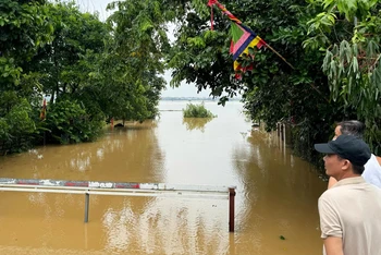 Đền thờ Bến Bạc (phường Phú Thượng, quận Tây Hồ, Hà Nội) chìm nghỉm dưới nước sông Hồng. 