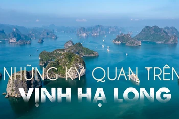 Những "kỳ quan" trên Vịnh Hạ Long