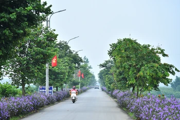 Người dân xã Minh Quang (huyện Ba Vì, Hà Nội) góp sức xây dựng các tuyến đường hoa, làm đẹp cảnh quan địa bàn xã.
