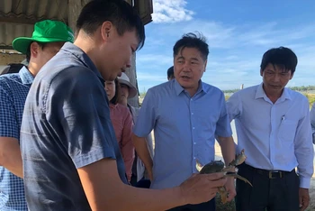Giám đốc Trung tâm Khuyến nông quốc gia Lê Quốc Thanh thăm mô hình nuôi cua gạch tại xã Phú Gia, huyện Phú Vang (Thừa Thiên Huế).