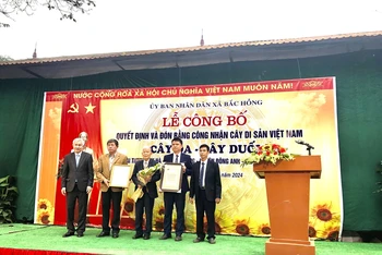 Hội Bảo vệ thiên nhiên và Môi trường Việt Nam trao Quyết định công nhận cây di sản Việt Nam đối với cây đa, cây duối tại thôn Thụy Hà.