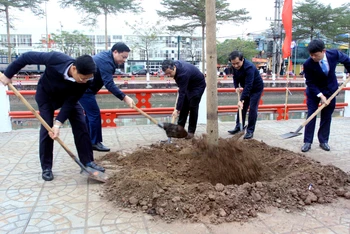 Các đồng chí lãnh đạo tỉnh Thái Bình trồng cây trên tuyến đường Đinh Tiên Hoàng, phường Kỳ Bá (thành phố Thái Bình).