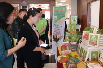 Lần đầu tiên, tỉnh Thái Bình tổ chức hội nghị chuyên đề về phát triển thị trường lúa gạo.