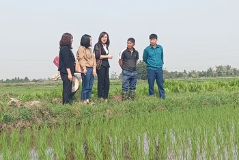 Anh Tô Văn Khải (thứ 2 từ phải sang), trú tại xã An Ninh, huyện Quỳnh Phụ, tỉnh Thái Bình đã tích tụ được hơn 20ha ruộng để tổ chức sản xuất lúa quy mô lớn.