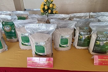 Một số sản phẩm gạo địa phương của tỉnh Thái Bình đã được công nhận là sản phẩm OCOP 3 sao và đang đề nghị xếp hạng 4 sao.