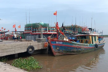 Những tàu cá ở tỉnh Thái Bình không đủ giấy tờ, bằng cấp theo quy định bắt buộc quay về nơi xuất phát.