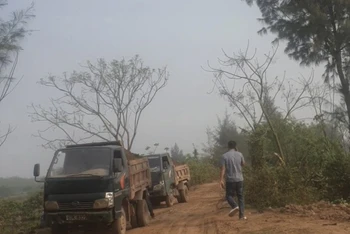 Các xe ô-tô tải chở đất bán trái phép cho doanh nghiệp vật liệu xây dựng trên địa bàn huyện Tiền Hải, tỉnh Thái Bình. (Ảnh công an cung cấp).