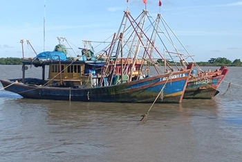 174 tàu, thuyền hoạt động nghề cá ở tỉnh Thái Bình đã được hỗ trợ kinh phí mua, lắp đặt thuê bao giám sát hành trình.