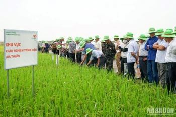 Hơn 300 đại điền tỉnh Thái Bình thăm quan Trung tâm khảo nghiệm giống lúa của Tập đoàn ThaiBinh Seed.