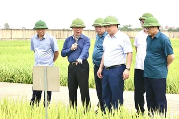 Lãnh đạo tỉnh Thái Bình thăm Viện nghiên cứu cây trồng của Tập đoàn ThaiBinh Seed. 