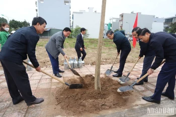Các đồng chí lãnh đạo tỉnh Thái Bình trồng cây xanh trên tuyến đường thuộc khu tái định cư Đồng Lôi (thành phố Thái Bình).