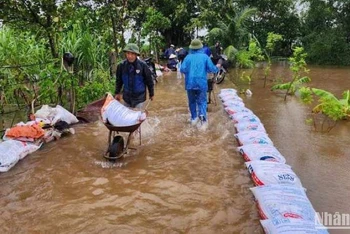 Huyện Vũ Thư (tỉnh Thái Bình) dồn sức chống úng ngập cho 75 ha lúa, hoa màu tại xã Xuân Hòa.