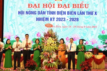 Đồng chí Cao Xuân Thu Vân, Phó Chủ tịch Hội Nông dân Việt Nam tặng hoa chúc mừng đại hội.