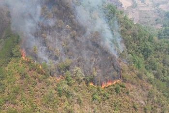 Hiện trường vụ cháy rừng tự nhiên tại xã Mường Báng, huyện Tủa Chùa.