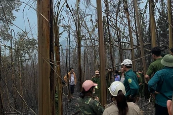Hiện trường vụ cháy rừng tại thị trấn huyện Mường Chà, tỉnh Điện Biên.