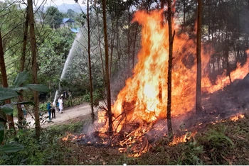 Chi cục Kiểm lâm Thái Nguyên chỉ đạo các huyện thực hiện nhiều cuộc diễn tập chữa cháy rừng.