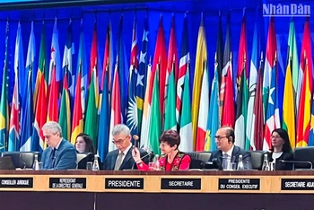 Chủ tịch Đại hội đồng UNESCO Simona-Mirela Miculescu gõ búa thông qua Nghị quyết. (Ảnh: MINH DUY)