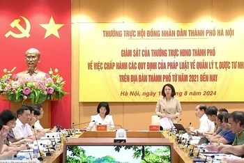 Phó Chủ tịch Ủy ban nhân dân thành phố Hà Nội Vũ Thu Hà phát biểu tại cuộc làm việc.