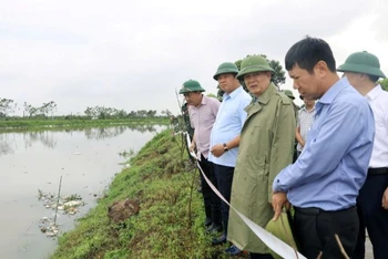 Chủ tịch Hội đồng nhân dân thành phố Hà Nội Nguyễn Ngọc Tuấn thị sát các tuyến đê trên địa bàn huyện Thường Tín