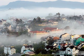 Phố núi Đà Lạt trong sương.