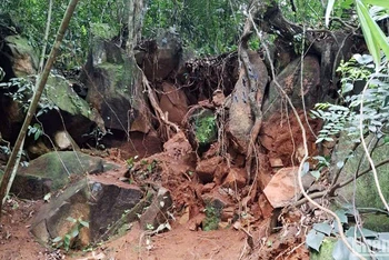 Phía ta-luy dương tại Km101 trên đèo Bảo Lộc đang xảy ra hiện tượng xói mòn do mưa lớn, tiềm ẩn nguy cơ sạt lở cao. 