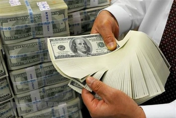 Nhân viên kiểm đồng USD tại ngân hàng. (Ảnh: AFP)