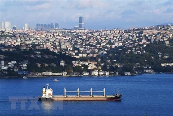 Tàu chở ngũ cốc của Ukraine đi qua Eo biển Bosphorus ở Istanbul, Thổ Nhĩ Kỳ, ngày 7/8. (Ảnh: THX/TTXVN)