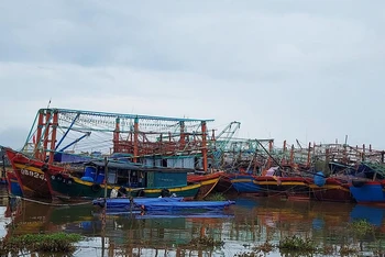 Tàu thuyền của ngư dân Quảng Bình vào neo đậu tránh, trú bão. 