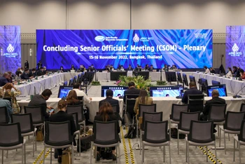 Phiên họp SOM APEC diễn ra ngày 16/11.