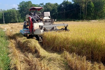 Cơ giới hóa sản xuất nông nghiệp trên địa bàn huyện Phú Bình.