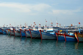 Tàu cá đánh bắt xa bờ neo đậu tại Cảng Phú Quý, Bình Thuận.