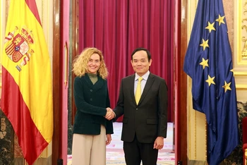 Phó Thủ tướng Chính phủ Trần Lưu Quang hội kiến Chủ tịch Hạ viện Tây Ban Nha Meritxell Batet. (Ảnh: VGP)