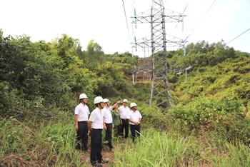 Lãnh đạo Công ty Truyền tải điện 3 và Đoàn kiểm tra đi thị sát một số đường dây, trạm biến áp ở khu vực tỉnh Khánh Hòa nhằm bảo đảm hệ thống truyền tải điện vận hành an toàn, ổn định, liên tục. 