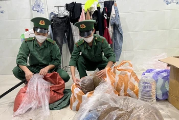 Số thảo mộc tẩm ma túy của Ngô Văn Sang bị lực lượng phòng, chống ma túy và tội phạm Bộ đội Biên phòng Đà Nẵng phát hiện, thu giữ. 