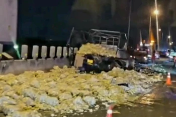 Hiện trường vụ tai nạn trên cao tốc TP Hồ Chí Minh-Trung Lương vào khoảng 2 giờ sáng ngày 8/4.