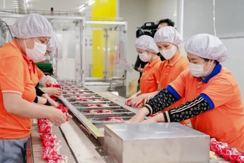 Nhiều lĩnh vực sản xuất phục hồi, tạo ra mức tăng trưởng cao cho tỉnh Thái Bình.