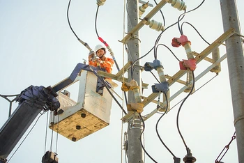 Công ty Điện lực Đà Nẵng tổ chức kiểm tra, sửa chữa lưới điện phục vụ cho các hoạt động lớn trong dịp lễ 2/9. 